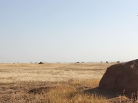 Ali Dege Plains