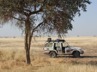 Ali Dege Plains