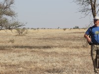 Ali Dege Plains