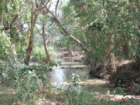 Awash Camp