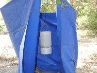 Awash Camp