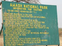 Awash