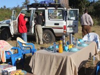 Breakfast Bobela Forest
