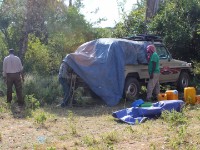 Bobela Forest Camp