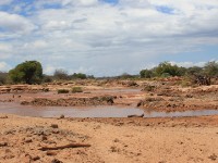 Dawa River