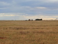 Liben Plain