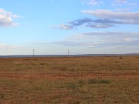 Liben Plain