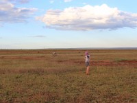 Liben Plain