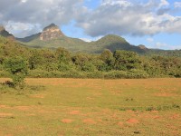 Katcha Camp Harenna Forest