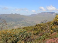 Bale Mountains