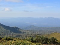 Bale Mountains