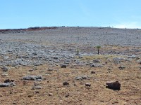 Bale Mountains