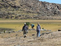 Bale Mountains
