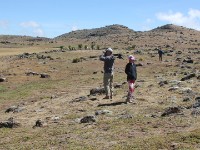 Bale Mountains