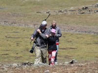 Bale Mountains