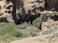 Cave