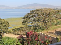 Lake Awassa