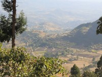 Ankober area