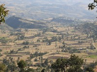 Ankober area