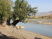 Jemma River