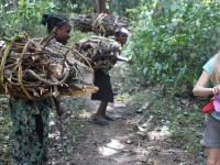 Wondo Genet College of Forestry and Natural Resources