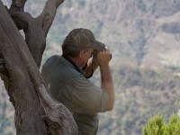 Simien Mountains Camp