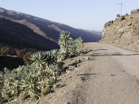 Simien Mountains NP