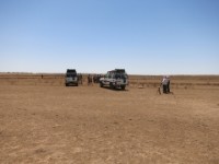 Site