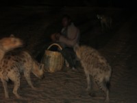 Hyena man Harar