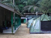 Ankasa NP camp