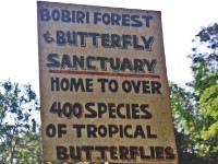 Bobiri Forest