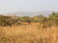 Tilli Zebilla