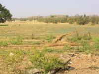 White Volta area