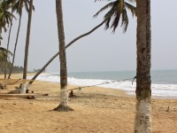 Brenu Beach