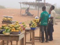 Kumasi to Mole