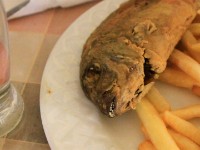 Kumasi to Mole lunch