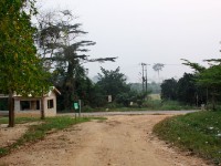 Kakum NP (Abrafo Forest and Jyaware Road)