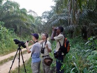 Abrafo Forest Kakum NP