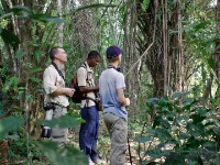 Abrafo Forest Kakum NP