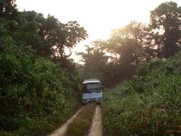 Abrafo Forest Kakum NP