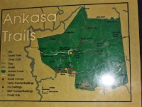 Ankasa NP Sign