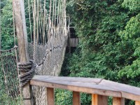 Canopy Walkway Kakum NP