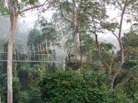 Canopy Walkway Kakum NP