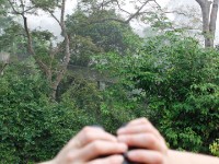 Canopy Walkway Kakum NP