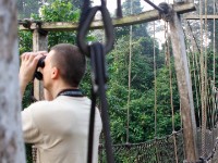 Canopy Walkway Kakum NP