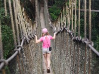 Canopy Walkway Kakum NP