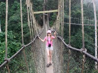 Canopy Walkway Kakum NP