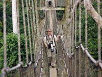 Canopy Walkway Kakum NP