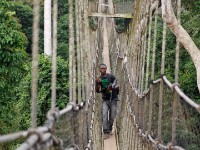 Canopy Walkway Kakum NP