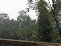 Canopy Walkway Kakum NP